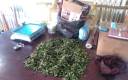 Vocda-women support (6)