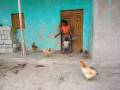 IGA beneficiary chicken