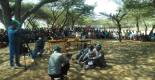 slide_forestDay